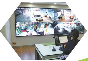 打造食品安全城市典范 東臺(tái)市政府門(mén)戶網(wǎng)站專題建設(shè)方案